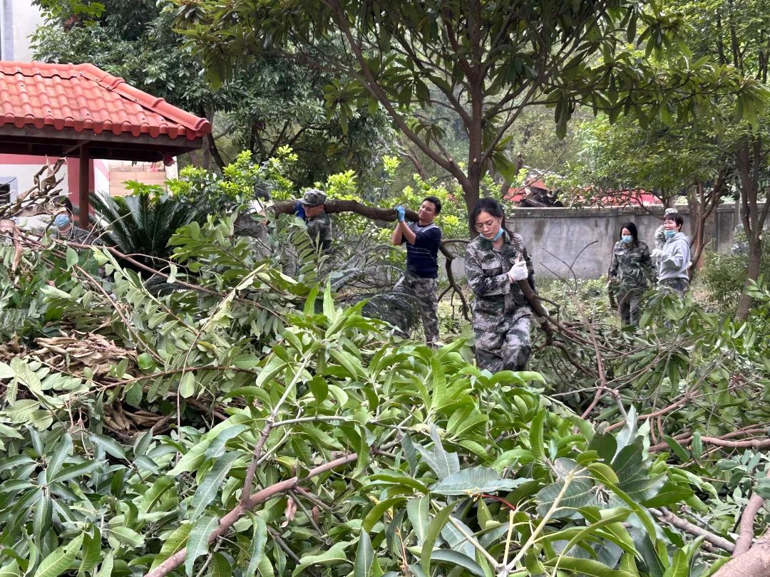 IMG_9379.JPG IMG_9379.JPG