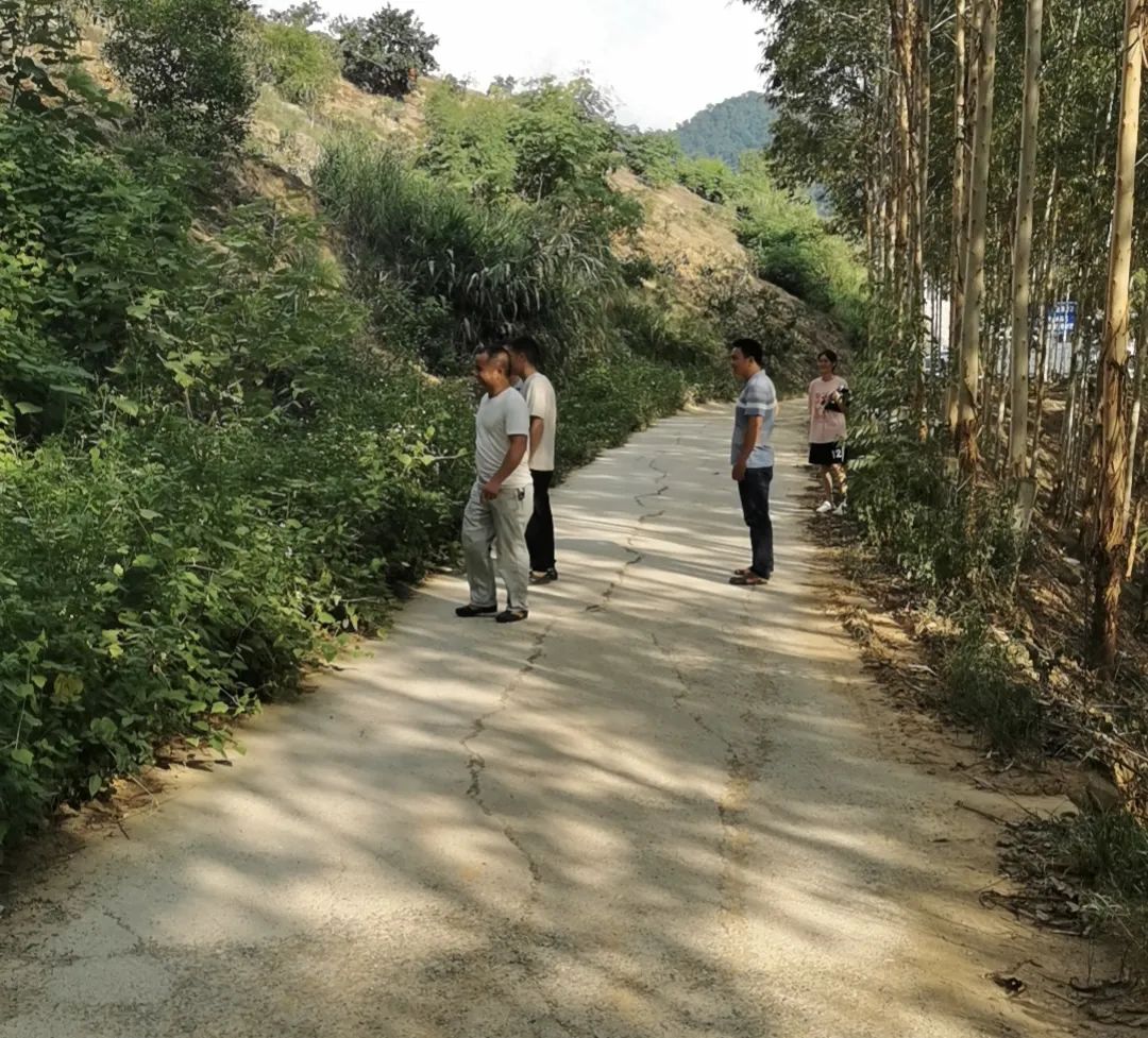 汪鄉(xiāng)調(diào)研3 汪鄉(xiāng)調(diào)研3