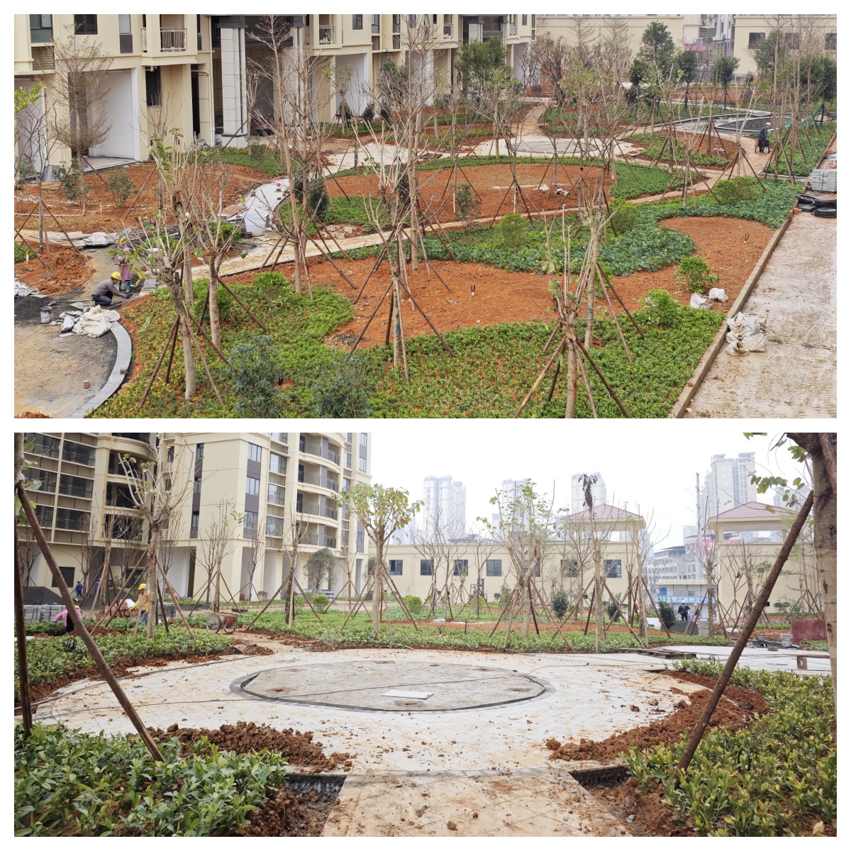 項目園林綠化_副本2 項目園林綠化_副本2